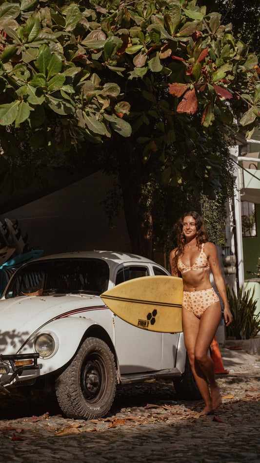 Sienna High Waisted Bikini Bottoms